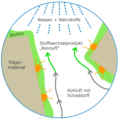 aufbau_biofilteranlage_schema_detail_pop